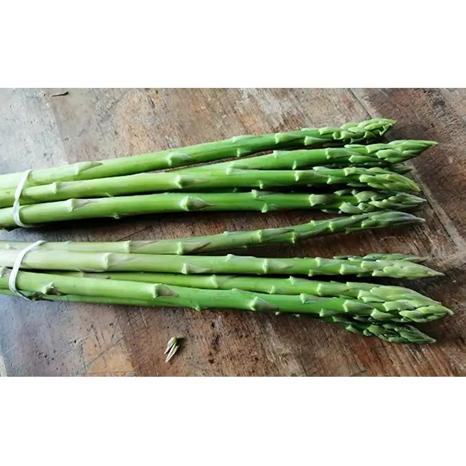 砂川さんの特選 アスパラ 1kg Mサイズ【さぬきのめざめ】 アスパラガス 冷蔵便 野菜 甘い 美味しい グリーンアスパラ 1万円以下 野菜セット 新鮮 旬 とれたて お取り寄せ 小分け BBQ 自宅