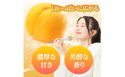 《先行受付》★黄桃（品種おまかせ）★ 約2kg(5～8玉) 秀品 【2026年8月中旬頃～発送予定】