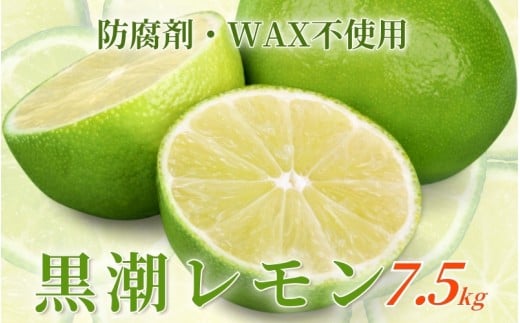 ＜先行予約＞レモン7.5kg+250g（傷み補償分）【和歌山有田産】【防腐剤・WAX不使用、安心の国産レモン】【ikd033C】