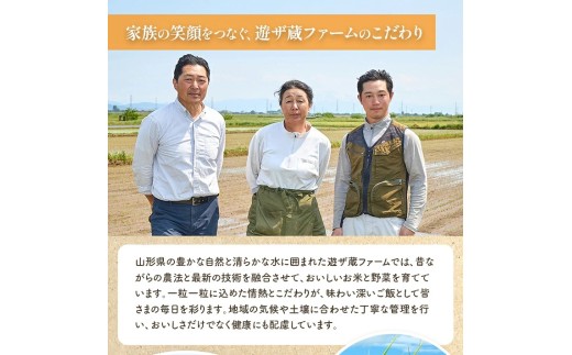 遊佐町産 特別栽培米つや姫5kg（令和８年産米）12月上旬