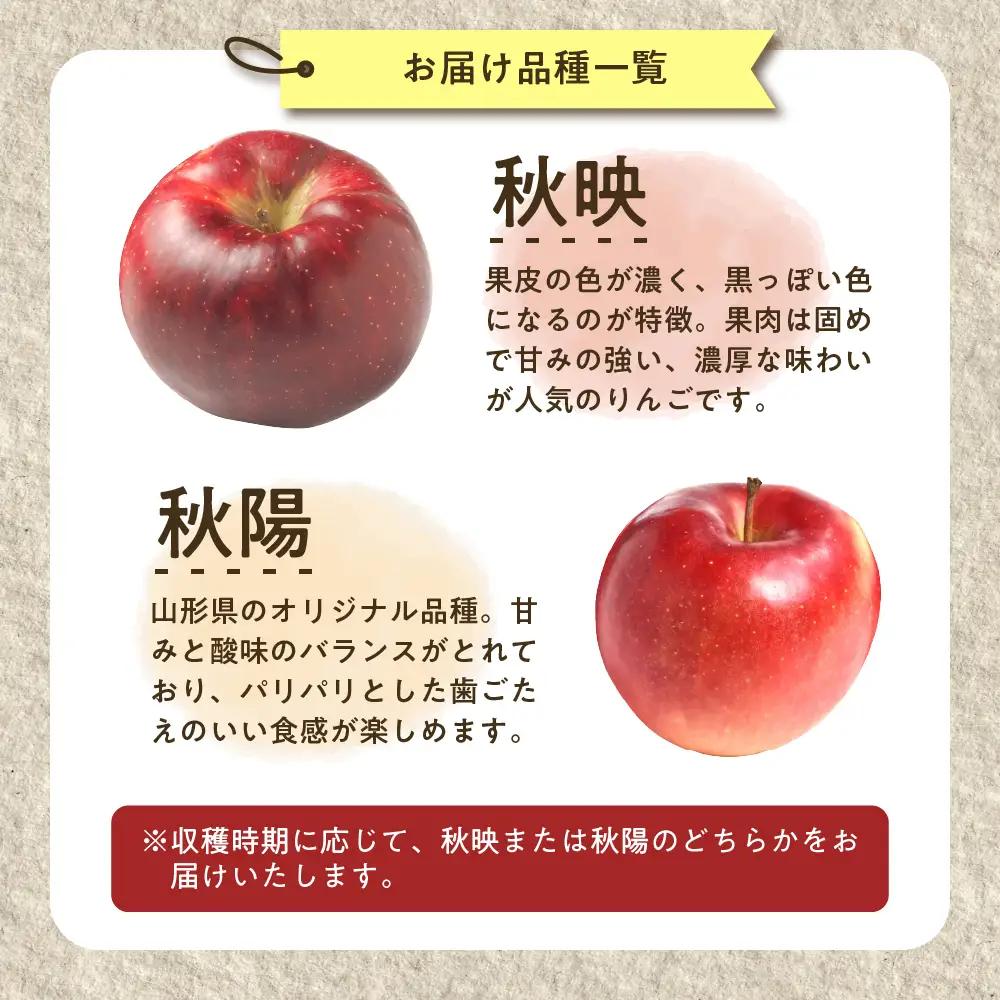 【先行予約】 令和8年産 舘山りんご 品種おまかせ 約5kg 16玉 ～ 20玉