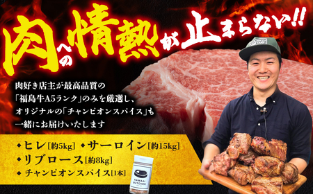 【 厳選 福島牛 A5 】塊肉3種 詰合せ 合計28kg スパイス付き ヒレ サーロイン リブロース ブロック肉 ステーキ BBQ ローストビーフ チャンピオンスパイス 高級肉 冷凍 保存 肉 牛肉 