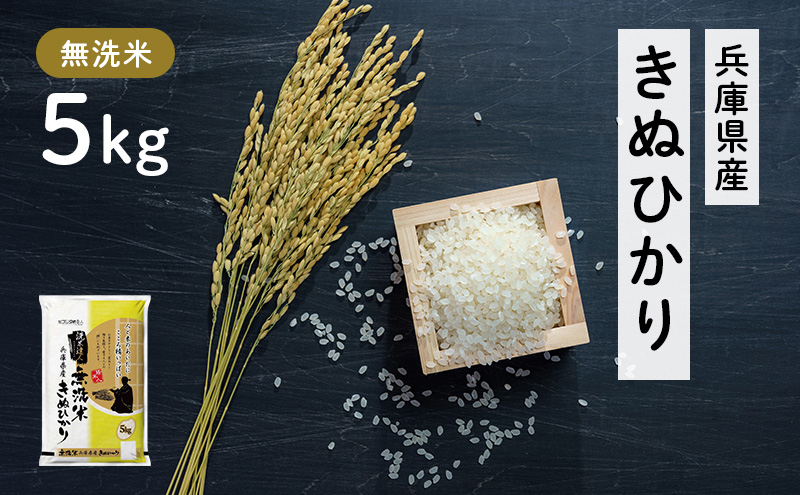 兵庫県産 キヌヒカリ 無洗米 5kg [ お米 米 おいしい きぬひかり 兵庫県 小野市 ] 精米 白米 ご飯 手間いらず 白さ 輝き 絹 粘り さっぱり 甘み お弁当