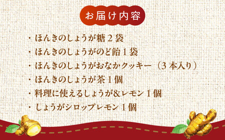 【ほんきのしょうが】はたらくオトナ女子のカラダケアセット【ジンジベル】[AYAD007]