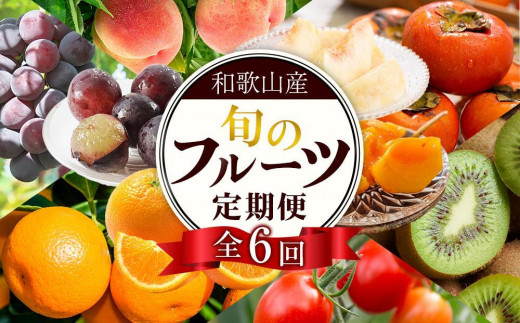 
                  和歌山の旬の果実を 奇数月にお届け全6回定期便（キウイ・清見オレンジ・ミニトマト・桃・ピオーネ・富有柿）【TM62】
                