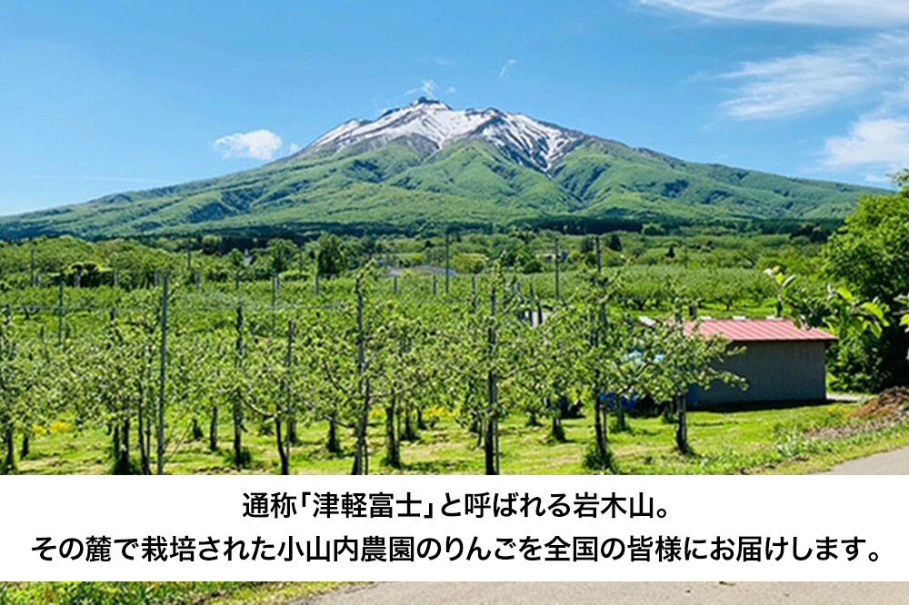 【26年12月発送】りんご サンふじ【秀】家庭用 約3kg 小山内農園【先行予約】 [先行受付 サンふじ りんご 青森りんご 果物 フルーツ デザート 食後 青森県 弘前市]