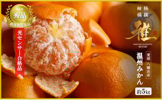 特撰柑橘＜雅＞光センサー合格品「八幡浜温州みかん」約5キロ ＜D39-54＞【1491404】