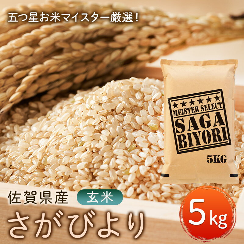 【ふるさと納税】玄米 さがびより 5kg 五つ星お米マイスター厳選！ 米 お米 ※配送不可：離島