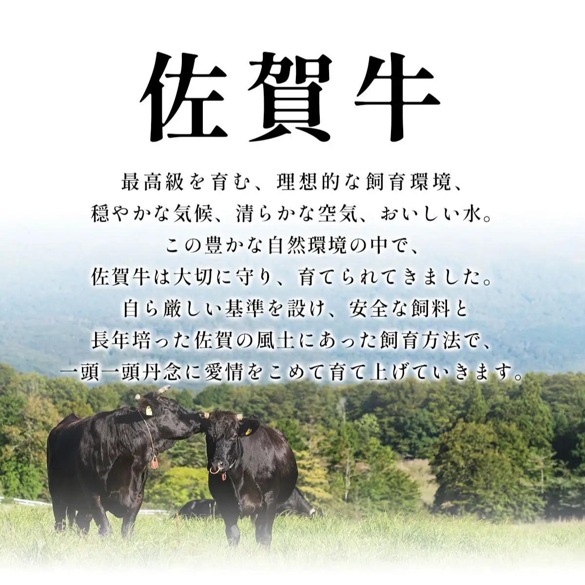 佐賀牛しゃぶしゃぶすき焼き用500g