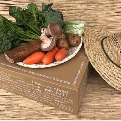 ふるさと納税 鹿嶋市 【ハーフサイズ】『身体が喜ぶ野菜』(季節の野菜おまかせ6〜7品) |  | 01