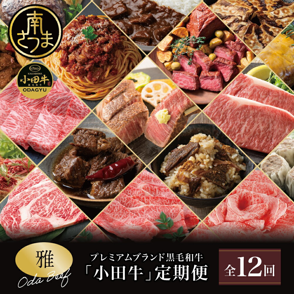 【ふるさと納税】【全12回】プレミアムブランド「小田牛」定期便［～雅～］ 鹿児島県産 黒毛和牛 ステーキ すき焼き 焼肉 焼き肉 BBQ ハンバーグ ローストビーフ 餃子 ぎょうざ 焼売 しゅうまい レトルト カレー パスタソース 常温 冷凍 小田畜産 南さつま市 送料無料