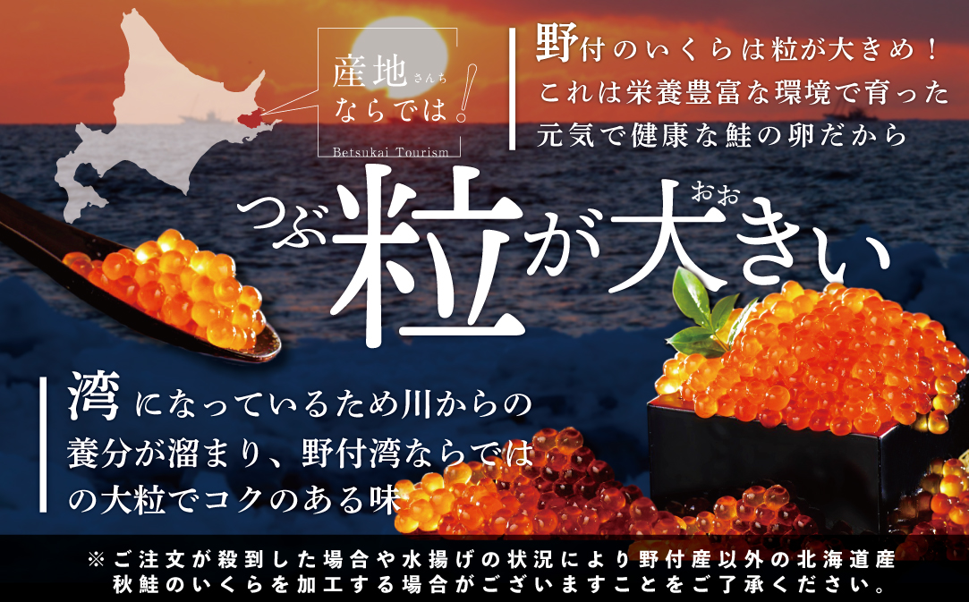 【250g×1パック 8回 お届け】 8ヵ月 定期便 漁協 直送！本場「北海道」 いくら 醤油漬け【NKM08NQ05】( いくら イクラ いくら鮭 イクラ鮭 いくら醤油漬け イクラ醤油漬け 国産 道