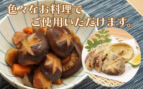 大分県産 原木椎茸2種食べ比べセットD(どんこ・椎茸) 干し椎茸 乾燥椎茸 しいたけ 九州産 中津市 国産 熨斗対応可
