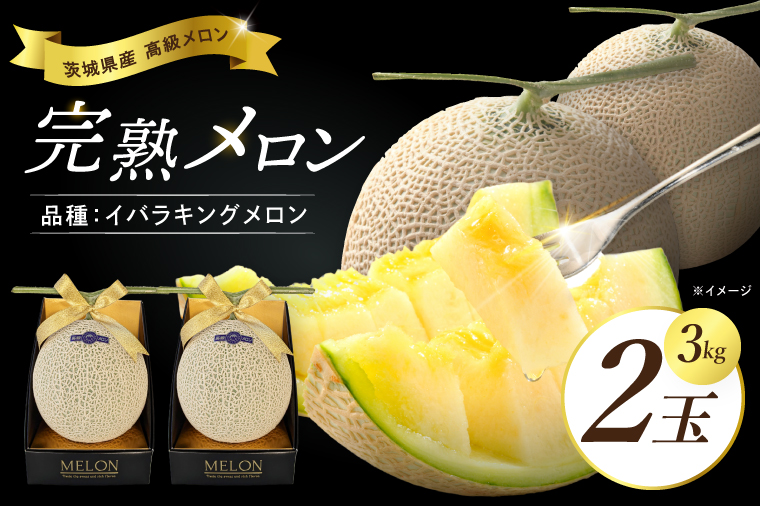 完熟 メロン イバラキング 2玉 │ 3kg フルーツ 産地直送 高級 贈答用 （CK002）