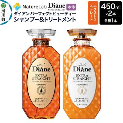 ふるさと納税 滑川町 ダイアン エクストラストレート シャンプー&amp;トリートメント 本体セット|19_ntl-060201