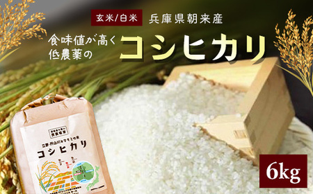 【令和6年産 新米】食味値が高く低農薬のコシヒカリ6kg【円山川源流域の清流で育った米】 兵庫県 朝来市 AS4BB33 新米 新米 新米 新米 新米 新米 新米 新米 新米 新米 新米 新米 新米 新米 新米 新米 新米 新米 新米 新米 新米 新米 新米 新米 新米 新米 新米 新米 新米 新米 新米 新米 新米 コシヒカリ こしひかり コシヒカリ こしひかり コシヒカリ こしひかり コシヒカリ こしひかり コシヒカリ こしひかり コシヒカリ こしひかり コシヒカリ こしひかり コシヒカリ こしひかり 