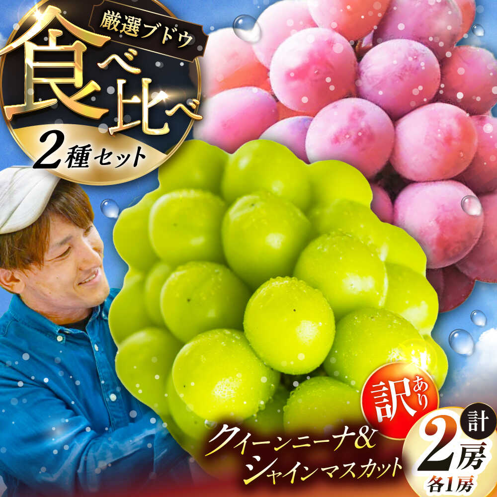 【ふるさと納税】【先行予約：2026年8月中旬より発送】【ご自宅用】人気の2品種を食べ比べ！シャインマスカット 1房 クイーンニーナ 1房（約950g）簡易包装 訳あり 島根県雲南市/ギアファーム[AIAB013]