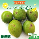 【ふるさと納税】ジュース用 レモン 約1kg / 約10kg内容量が選べる レモン れもん 檸檬 柑橘 果物 フルーツ ビタミンC レモネード お取り寄せ 栽培期間中低農薬 防腐剤不使用 ワックス不使用 ジューシー 広島県 呉市 果汁 レモン汁 爽やか レモン飲料