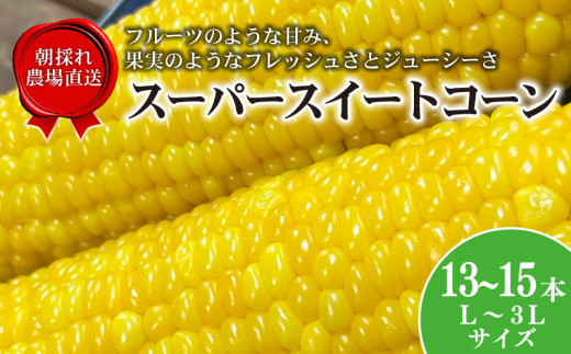 【数量限定】 とうもろこし スーパースイートコーン 13～15本  2026年6月中旬発送開始予定 期間限定 スイートコーン ジューシー 甘い シャキシャキ 生 トウモロコシ コーン オオモノ 旬 野菜 夏野菜 冷蔵発送 送料無料 産地直送 千葉県 旭市 オオナギファーム onf002