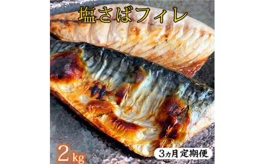 〈毎月定期便〉【ご家庭用　訳あり】塩さばフィレ2kg 全3回◇ ※離島への配送不可