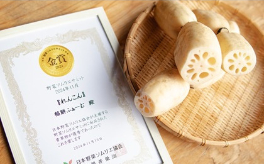 【先行予約品】五泉八代目レンコン 2kg(500g×4袋) | れんこん 蓮根 野菜 根菜 産地直送 国産 新潟県 五泉市 稲餅ふぁーむ 