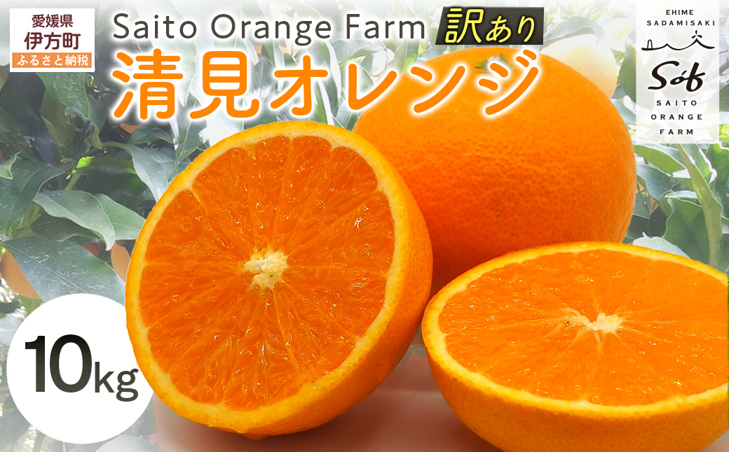 【先行予約】Saito Orange Farmの訳あり清見オレンジ10kg（2027年3月中旬頃より順次発送） IKTAQ010