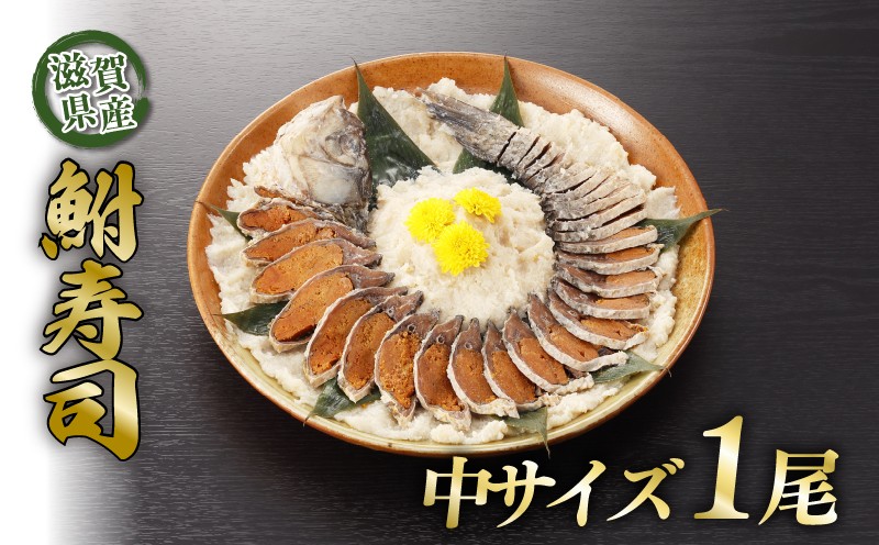 
                   びわ湖産天然 鮒寿し 中 サイズ フナ 鮒ずし 鮒寿司 鮒寿し 鮒鮨 ふなずし おつまみ 晩酌 肴 川魚 湖魚 魚 国産 天然 琵琶湖 栄養 発酵食品 乳酸菌 滋賀 彦根 あゆの店きむら
                
