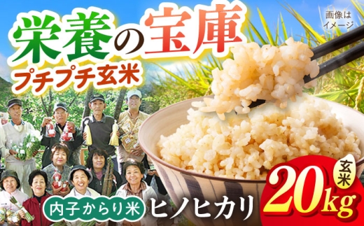 米 内子からり米 令和7年産ヒノヒカリ（玄米10kg×2袋）／ お米 こめ 玄米 精米 食品 令和7年度 ヒノヒカリ 送料無料 米 げんまい 新米 健康 愛媛 内子町 国産 ふるさと納税 お取り寄せ ギフト 特産品 四国 産地直送 愛媛県 内子 返礼品 お礼 贈り物 ご飯 ごはん 弁当 お弁当 おにぎり 美味い ブランド 【株式会社内子フレッシュパークからり】 [BKAD098]