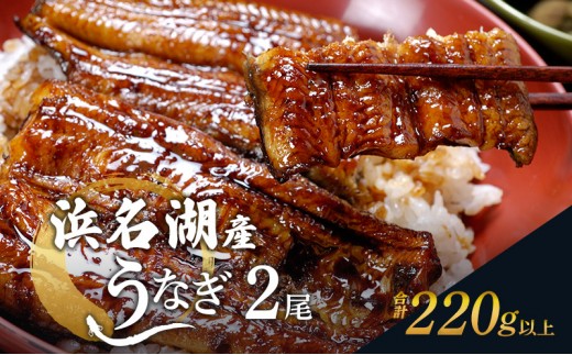 
            国産うなぎ 浜名湖産鰻蒲焼き２本セット(110g×2) 山椒 たれ セット 詰め合わせ 海老仙 国産 うなぎ ウナギ 鰻 うなぎの蒲焼 土用の丑の日 静岡 浜松[№5786-1184]
          