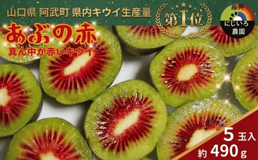 
                  【先行予約】赤いキウイ あぶの赤 約490g 山口県阿武町産 希少品種 極甘フルーツ 2026年10月～2027年1月発送
                