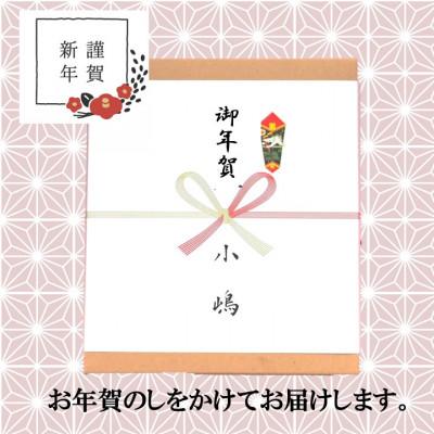 ふるさと納税 伊万里市 【お年賀ギフト/のし付き・手提袋付き/直送】≪冷凍≫伊万里 小嶋やどら焼(2種10個入/謹製・白) |  | 01