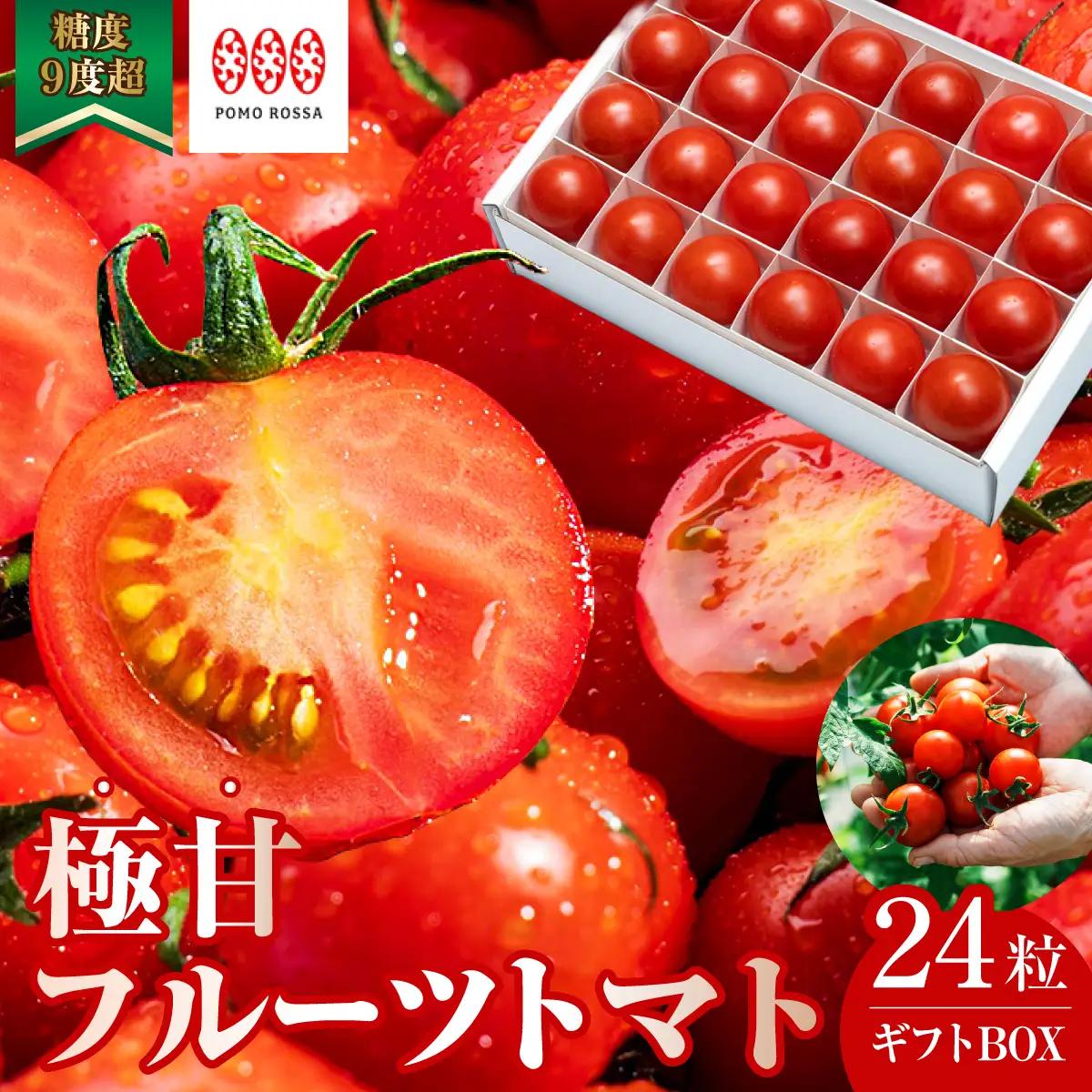 フルーツトマト 24粒 ポモ・ロッサ 先行予約