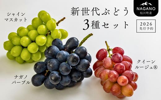 
            TK05-26A 【先行予約】ぶどう3種セット プレミアムスリー（ナガノパープル／シャインマスカット／クイーンルージュ🄬）約1.5kg（3房） ／2026年9月中旬～下旬頃 配送予定 // ぶどう 葡萄  食べ比べ 長野県 南信州 詰め合わせ 種なし 皮ごと
          