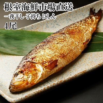 ふるさと納税 根室市 一夜干し子持ちにしん4尾 G-11047