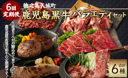 【6回定期便】鹿児島黒毛和牛 バラエティセット 焼肉 すき焼き ステーキ バラスライス 和牛ミンチ ハンバーグ 鹿児島牛 鹿児島黒毛和牛 黒毛和牛 ロース カルビ バラ 冷凍 定期便 6回