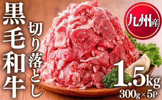 
                  No.1011 九州産 黒毛和牛肉の切り落とし(計1.5kg・300g×5P) 牛肉 切落し 切り落し 和牛 冷凍 国産 九州産 小分け 国産牛 お肉 牛丼 野菜炒め カレー 冷凍【LRプラスK】
                