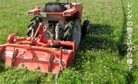 【令和5年産】レンゲ栽培米 夢つくし ?玄米?（8kg）《築上町》【久楽農園】 [ABAT003] お米おすすめ お米定番 お米人気 お米お取り寄せ 美味しいお米 お米料理 お米おススメ お米お気に入