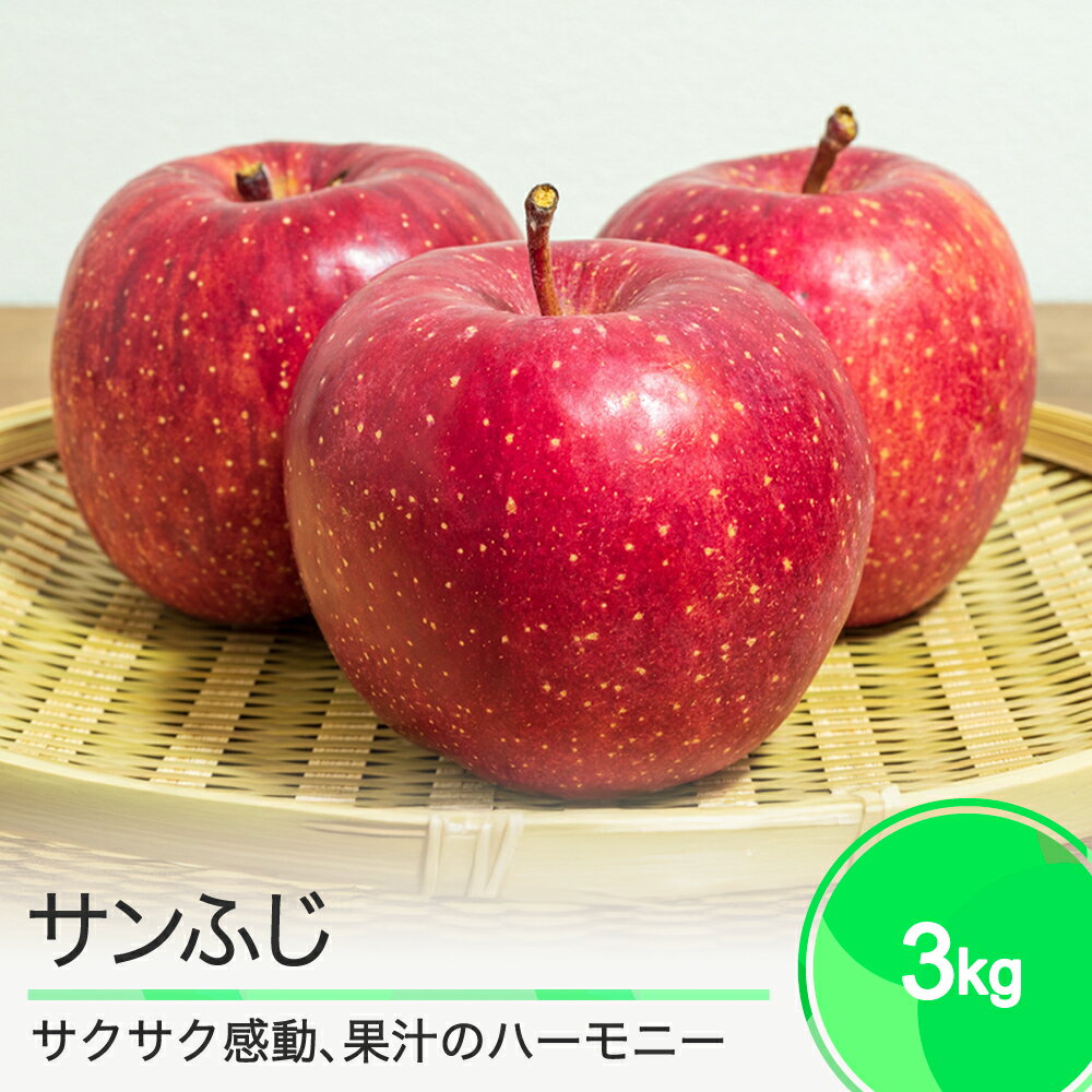 【ふるさと納税】りんご サンふじ 3kg 2025年産 果物 フルーツ くだもの 大石田 山形県 ja-risfx3