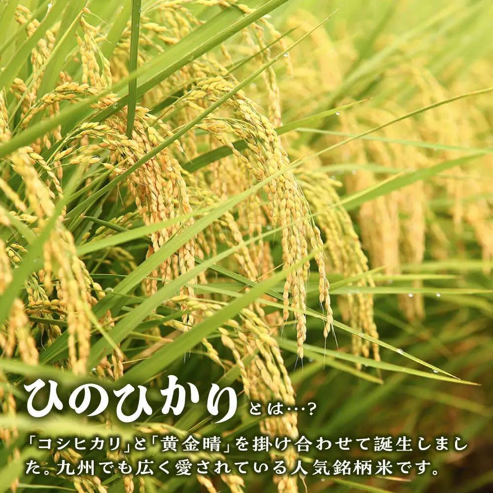  糸島産 ひのひかり 10kg 糸島市 / 三島商店 [AIM004] 米 白米