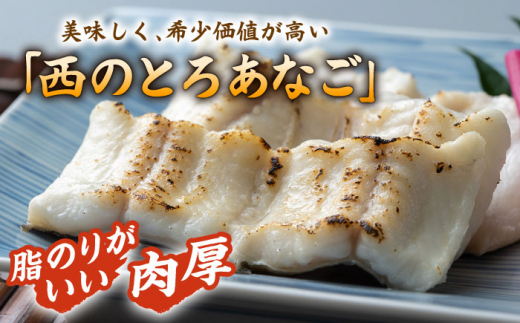 【全3回定期便】対馬産 穴子 詰め合わせ 5PAC《 対馬市 》【対馬水産株式会社】対馬 新鮮 とろ あなご ふわふわ 煮穴子 冷凍 海鮮 [WAV004]