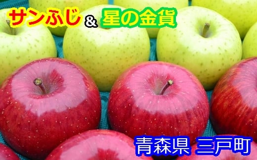 りんご【サンふじ＆星の金貨】セット 約5kg（計12～20玉）【2025年産・先行予約】★2025年11月中旬～12月中旬頃まで発送予定★ 青森県三戸町産