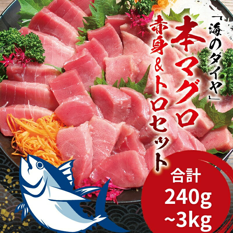 【ふるさと納税】 【容量・発送時期が選べる】本マグロ（養殖）トロ＆赤身セット 240g 500g 1350g 3kg / まぐろ 鮪 赤身 トロ 中トロ 大トロ 刺身 冷凍 海鮮 魚貝 魚 柵 古座川町