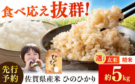 【先行予約】佐賀県産米（ひのひかり）5kg 玄米 / 玄米 玄米 玄米 玄米 玄米 玄米 玄米 / 佐賀県 / 一般社団法人 龍乃 [41ANAC104]