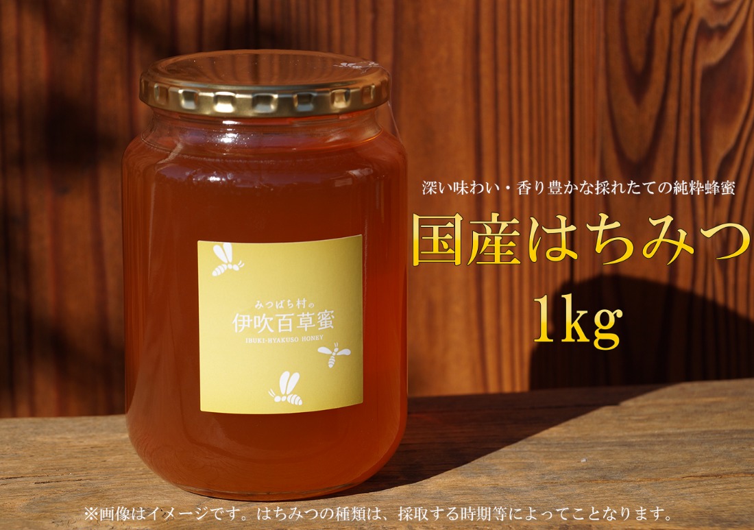 E-28b 国産はちみつ1000g