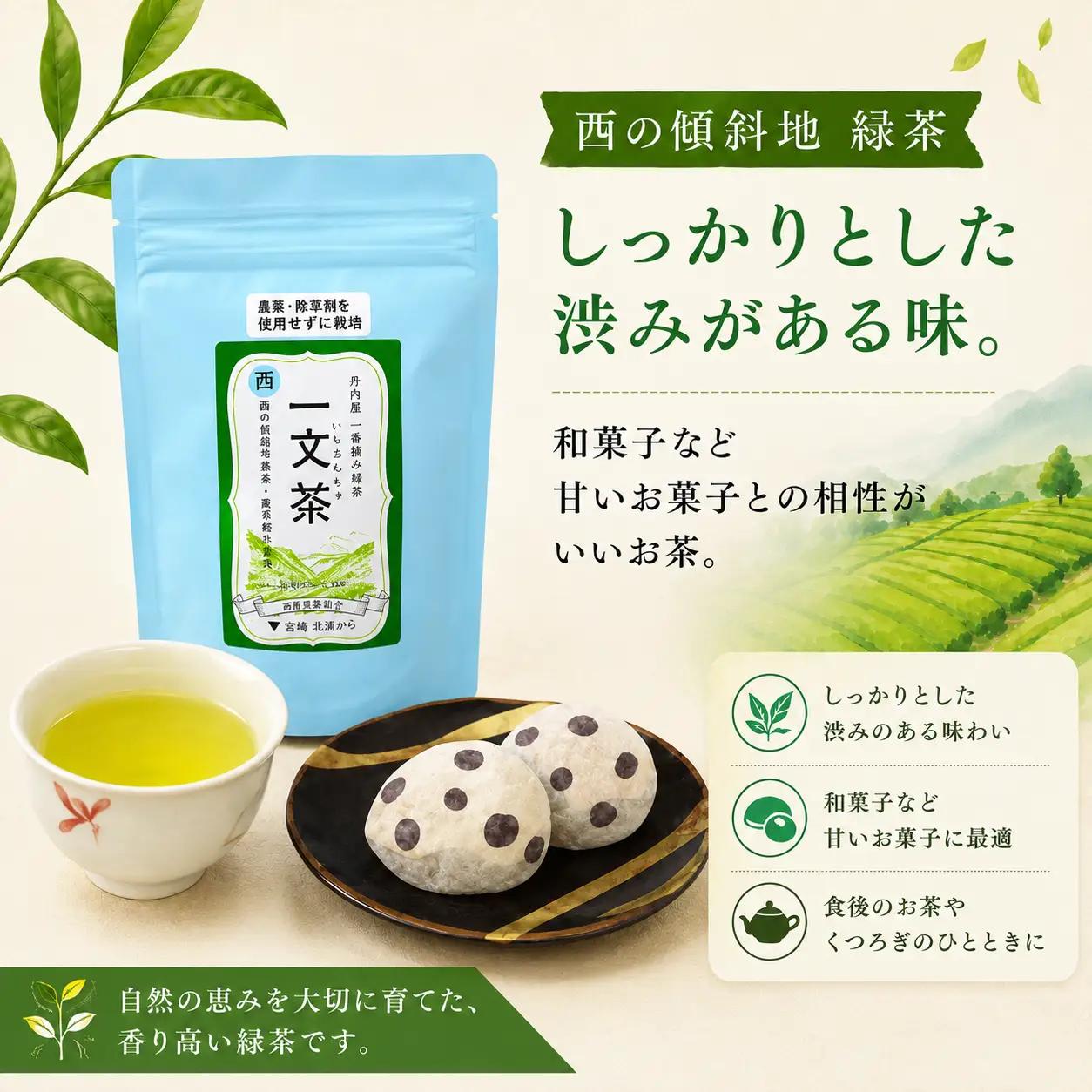〈 新茶 〉 緑茶 西の傾斜地 40g × 3袋 茶葉 【 一文茶 】