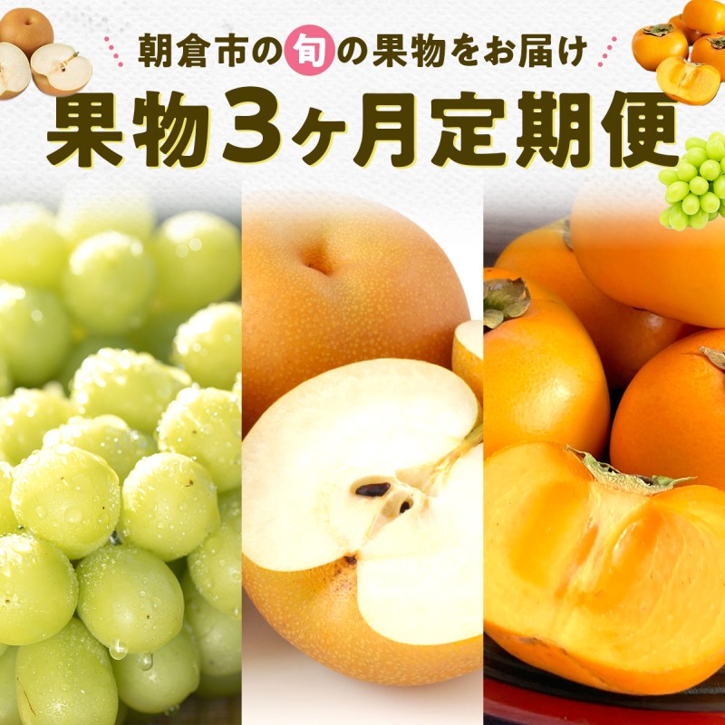 果物 3ヶ月 定期便 先行予約 2026年8月より順次発送 (シャイ