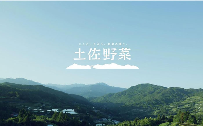 【12回定期便】 土佐の太陽をいっぱいに浴びた旬の野菜セット小 【土佐野菜】 [ATBA007]