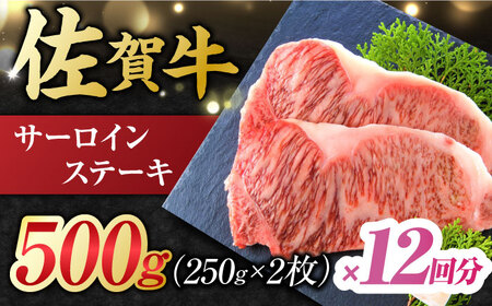 【12回定期便】佐賀牛 サーロインステーキ 計6kg (250g×2枚×12回) すてーき 黒毛和牛[FDB041]