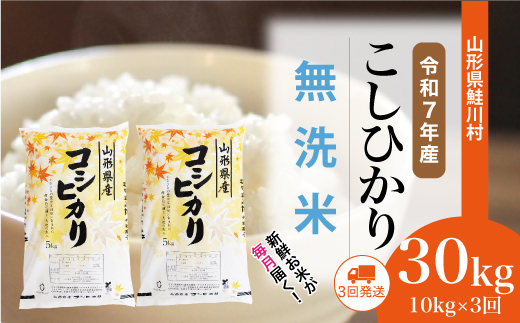 ＜令和7年産米＞ 鮭川村 こしひかり 【無洗米】 定期便 30kg （10kg×1ヶ月間隔で3回お届け）＜配送時期選べます＞