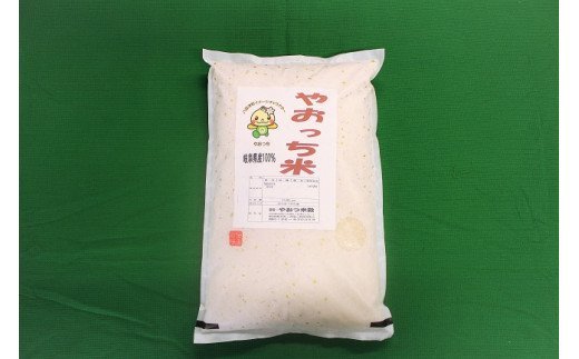 196.【令和6年産新米】岐阜県産オリジナルブレンド米「やおっち米」5kg　